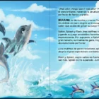 Splash Un delfin en carrera contra el tiempo 3 PAGE ES 2 SPLASH