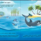 Splash Un delfin en carrera contra el tiempo 4 PAGE ES 3 SPLASH